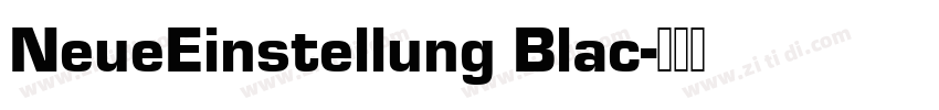 NeueEinstellung Blac字体转换